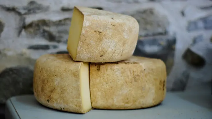 Zwei Laibe gereifter Käse mit Naturrinde vor einer Steinwand