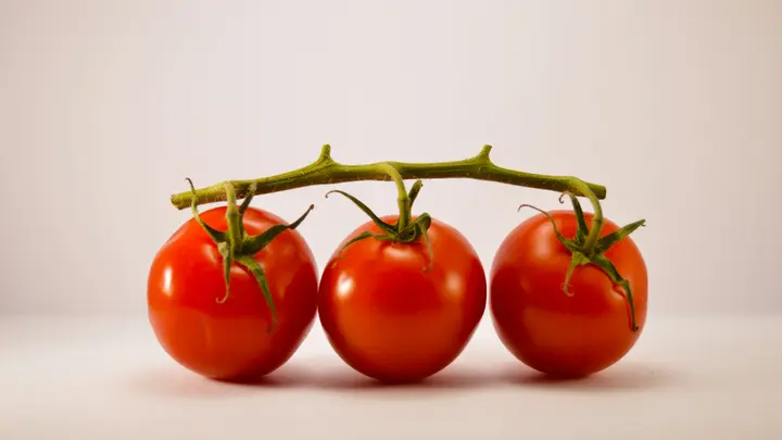 Drei rote Kirschtomaten an der Rispe vor hellem, schlichtem Hintergrund